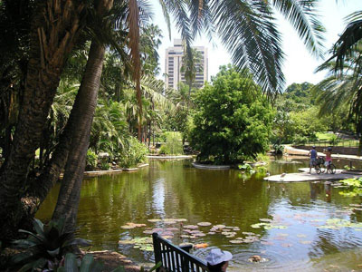 City Botanic Gardens, Brisbane image