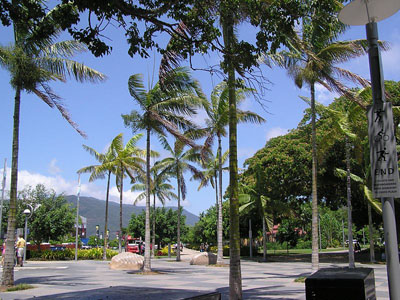 Esplanade, Cairns, Queensland image