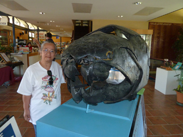 Dunkleosteus fossil, The Age of Fishes Museum (image)