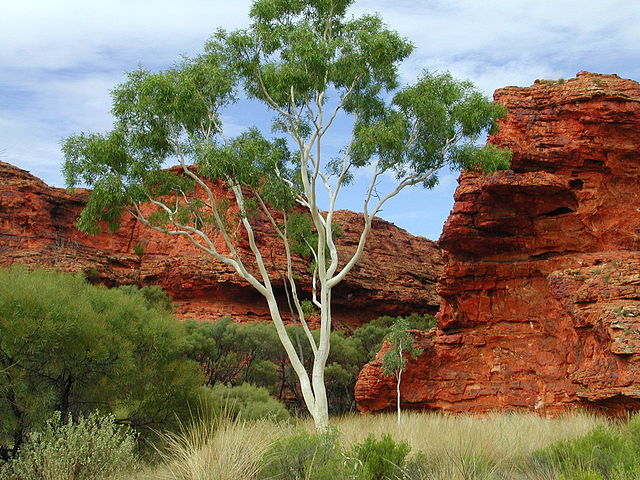 Kings Canyon, Northern Territory, Australia (image)