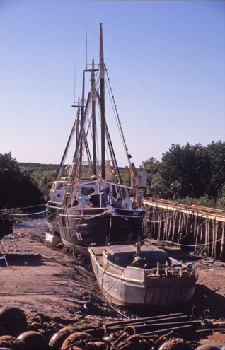 Old Pearling Luggers, Broome (image)