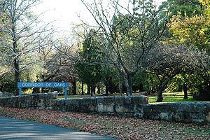 Prime Ministers' Corridor of Oaks, Faulconbridge image