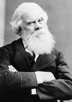 Sir Henry Parkes image